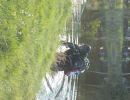 IMG 3324 IMG 3324