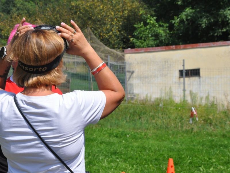 DSC  Kopiowanie  4658