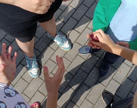 24 24