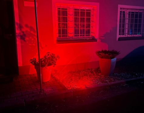 Zdjecie WhatsApp 11 19 o 17.08.44 98100611 5271