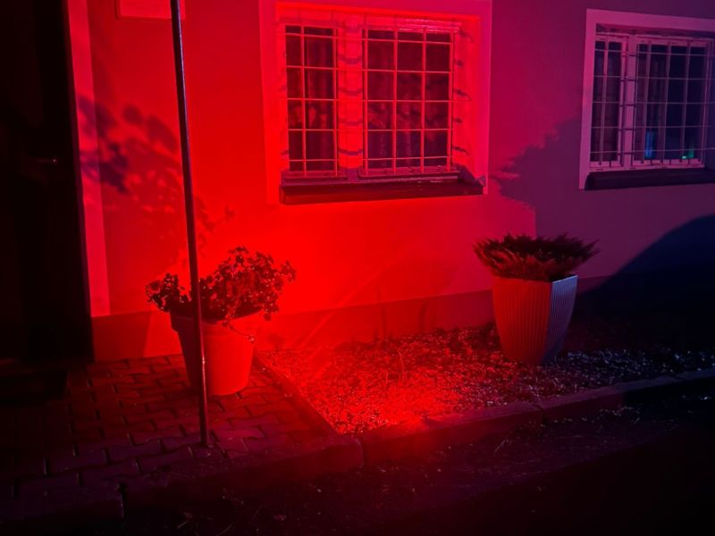 Zdjecie WhatsApp 11 19 o 17.08.44 98100611 5271