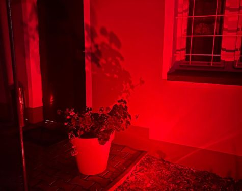 Zdjecie WhatsApp 11 19 o 17.08.44 a5deb42c 5272